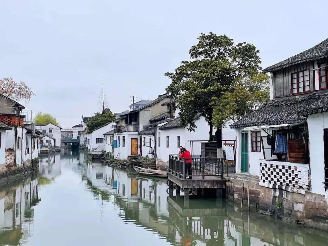 手机上申报了年度汇算在税务局能不能查出来？游戏画面